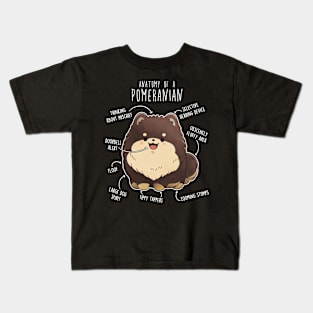 Chocolate and Tan Pomeranian Dog Anatomy Kids T-Shirt